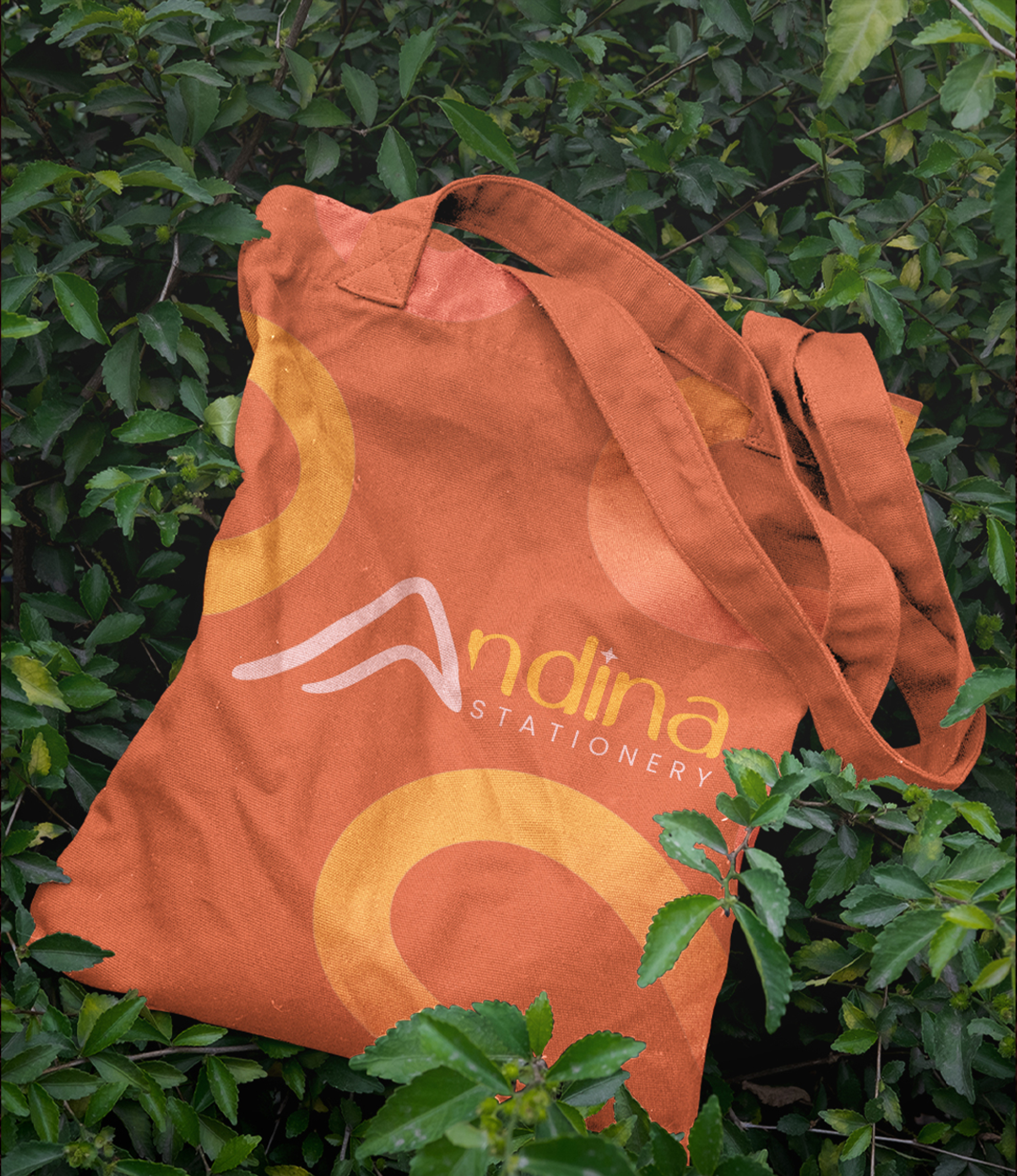 Andina Stationery — portada del proyecto